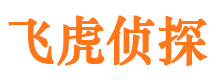 全南市侦探调查公司